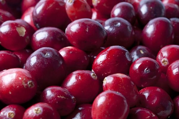 Cranberries_opt.jpg