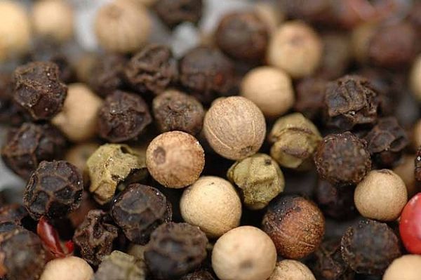 Peppercorn_opt.jpg